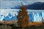 GLACIAR PERITO MORENO PCIA DE STA  CRUZ   ARGENTINA